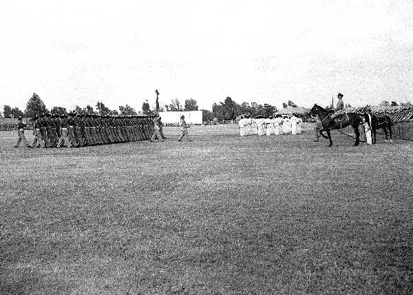 Images/1 LF colour Troop 1951325.jpg